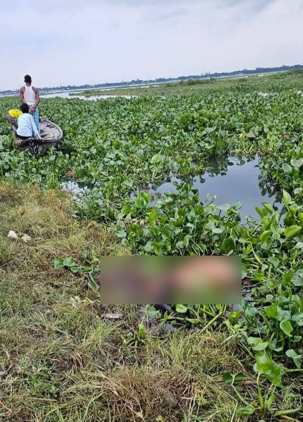 গজারিয়ায় খালে পানির তোড়ে ভেসে গেল অর্ধশতাধিক গরু
