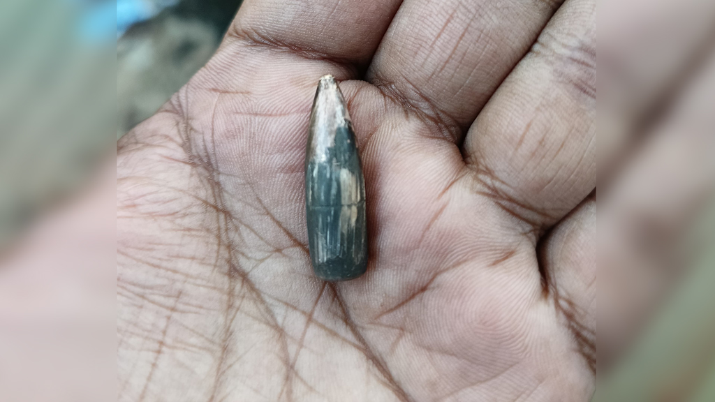 নাফ নদ এলাকায় তীব্র গোলাগুলি, গুলি এসে পড়ল বাংলাদেশির বাড়িতে