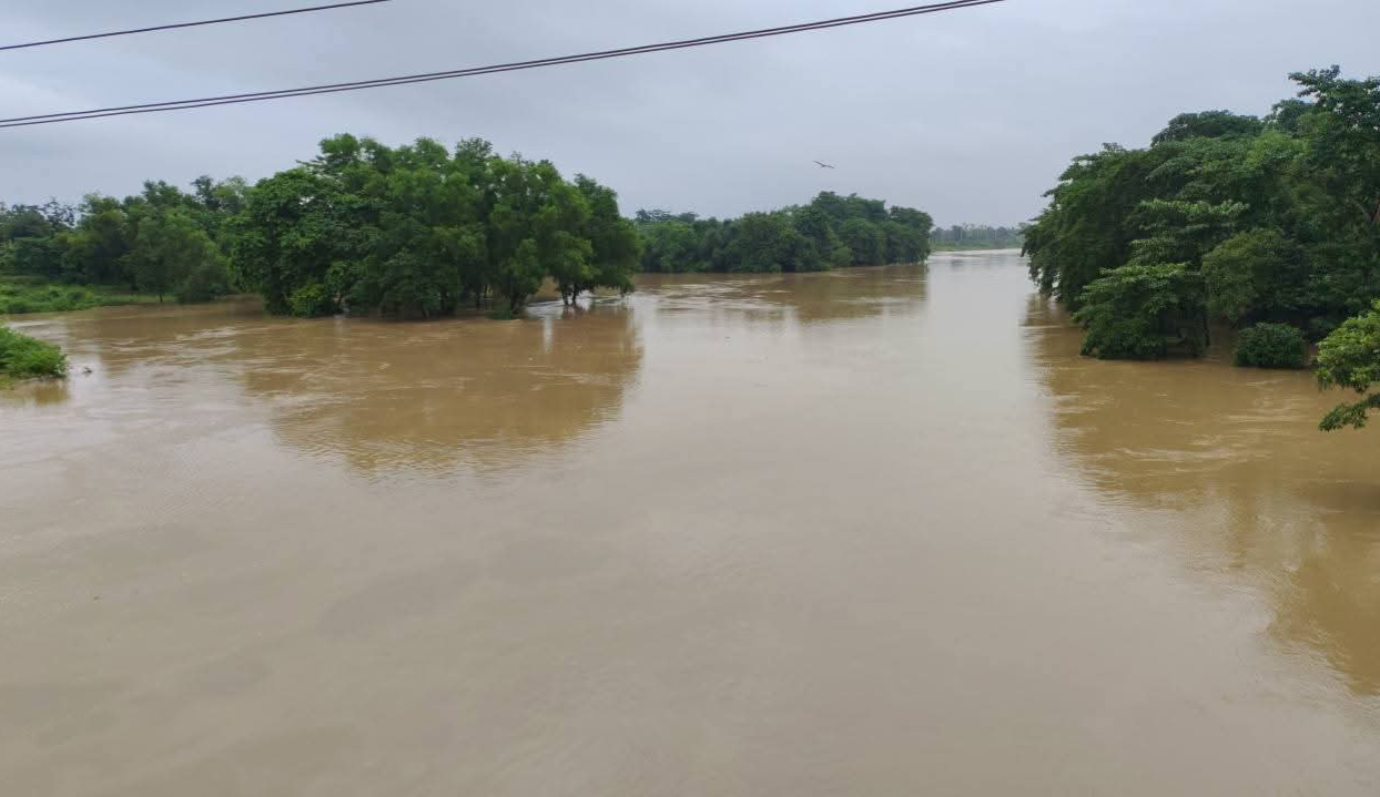 বাড়ছে গোমতীর পানি, ডুবছে চরের ফসলি জমি