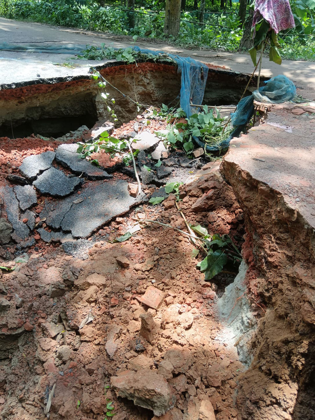 টানা বৃষ্টিতে গাংনীর ভবানীপুর-বেদবাড়ীয়া সড়কে ভাঙন, ঝুঁকি নিয়ে চলাচল