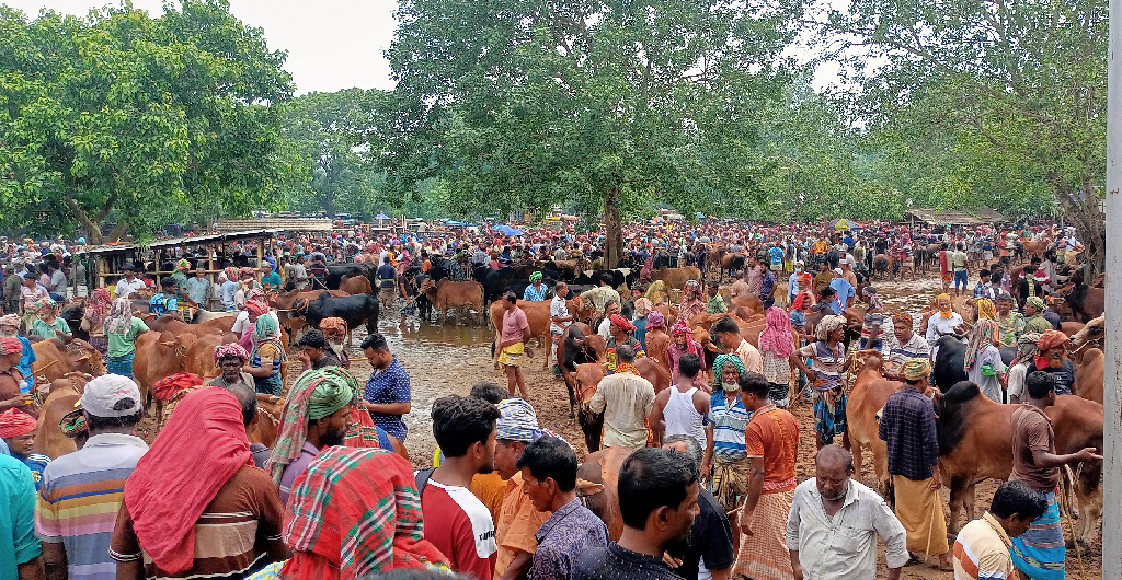 শেষ সময়ে গাংনীর বামন্দী পশুর হাটে ক্রেতা-বিক্রেতার ভিড়, চলছে দর-কষাকষি
