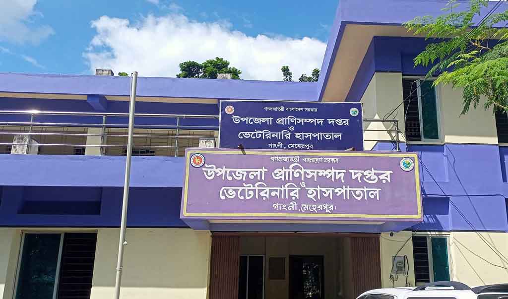 জনবলসংকটে ধুঁকছে গাংনী প্রাণিসম্পদ হাসপাতাল, ব্যাহত চিকিৎসাসেবা