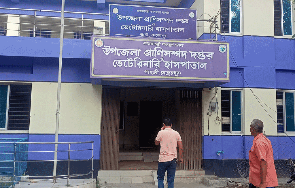 জনবল-সংকটে ধুঁকছে গাংনী প্রাণিসম্পদ হাসপাতাল, ১১ পদের ৭টিই শূন্য