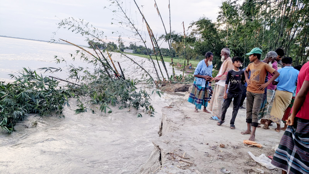 গঙ্গাচড়ায় তিস্তার ভাঙনে ঝুঁকিতে শতাধিক বাড়িঘর, ফসলি জমি, স্থাপনা