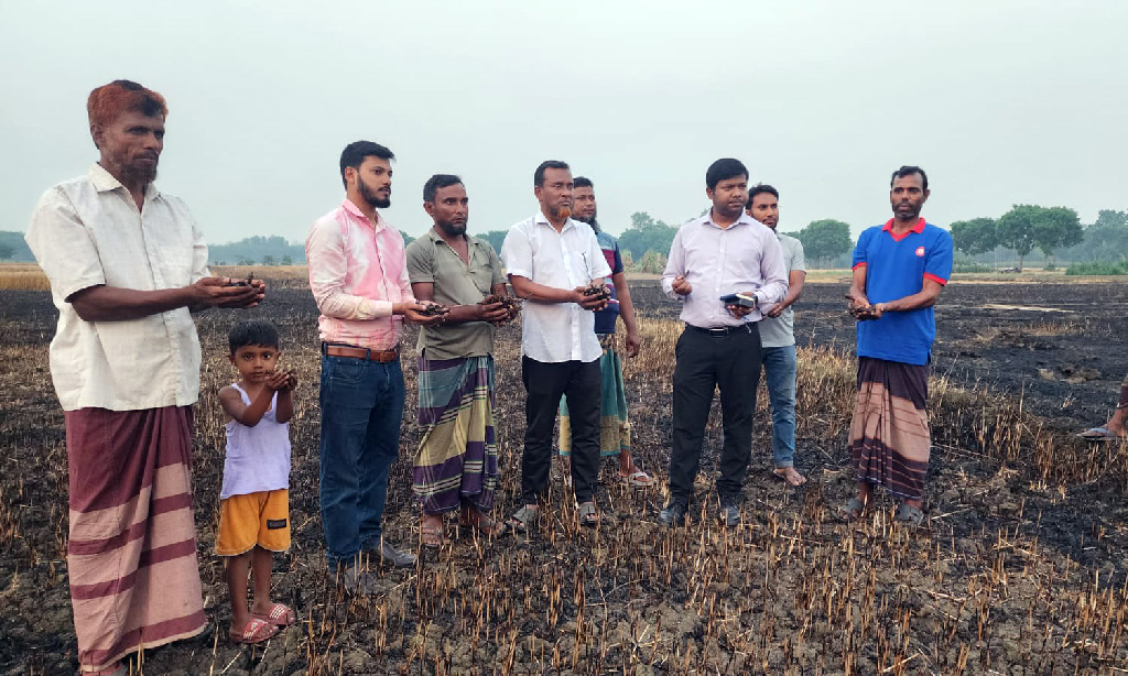 পাঁচ কাঠা জমির খড় পোড়াতে গিয়ে ৮০ বিঘার গম পুড়ে ছাই
