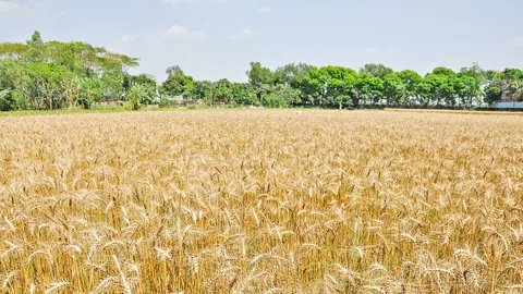 সংকট মোকাবিলায় এই মুহূর্তে যা করণীয়