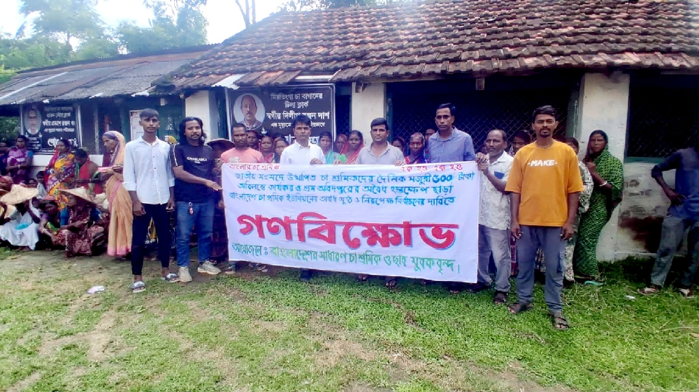 পাঁচশ টাকা মজুরি কার্যকরের দাবিতে কমলগঞ্জে চা শ্রমিকদের গণবিক্ষোভ