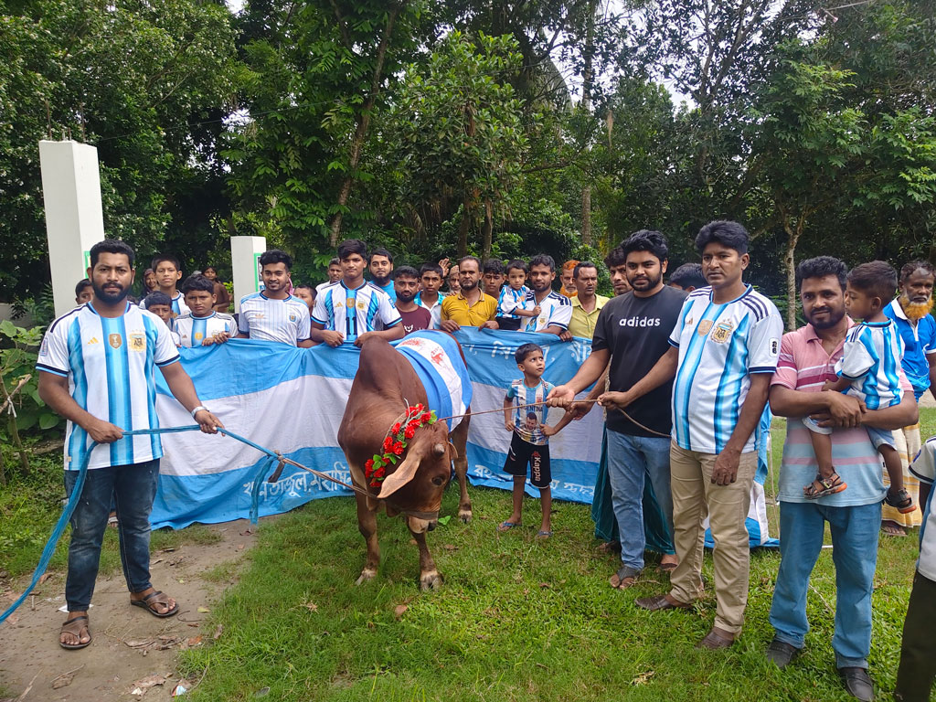 বিশ্বকাপ ফাইনাল ঘিরে কোটালীপাড়ায় আর্জেন্টিনা সমর্থকদের গরু জবাই করে ভূরিভোজ