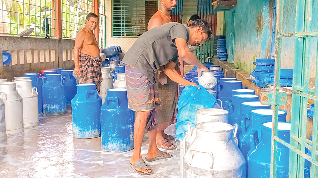 দুধ বেচে খরচ উঠছে না, হতাশ তালার খামারিরা