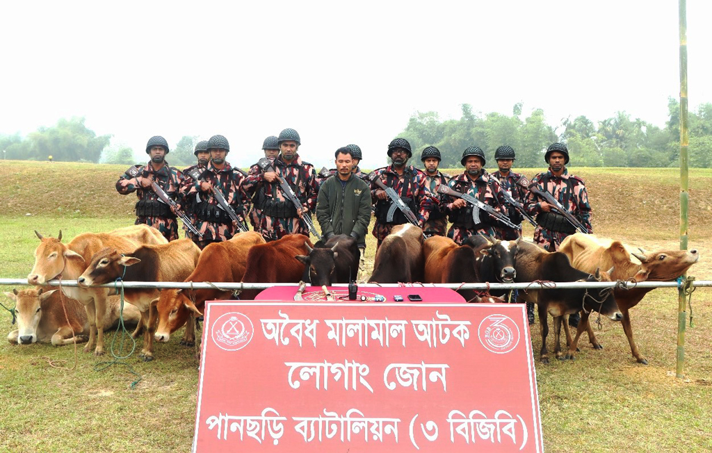 পানছড়ি সীমান্তে ১১টি ভারতীয় গরুসহ আটক ১