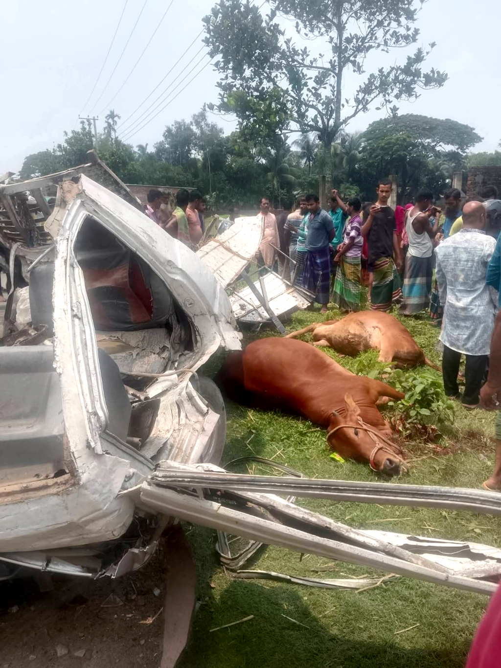 কটিয়াদীতে গরুবাহী পিকআপ উল্টে চালক নিহত, আহত ৩
