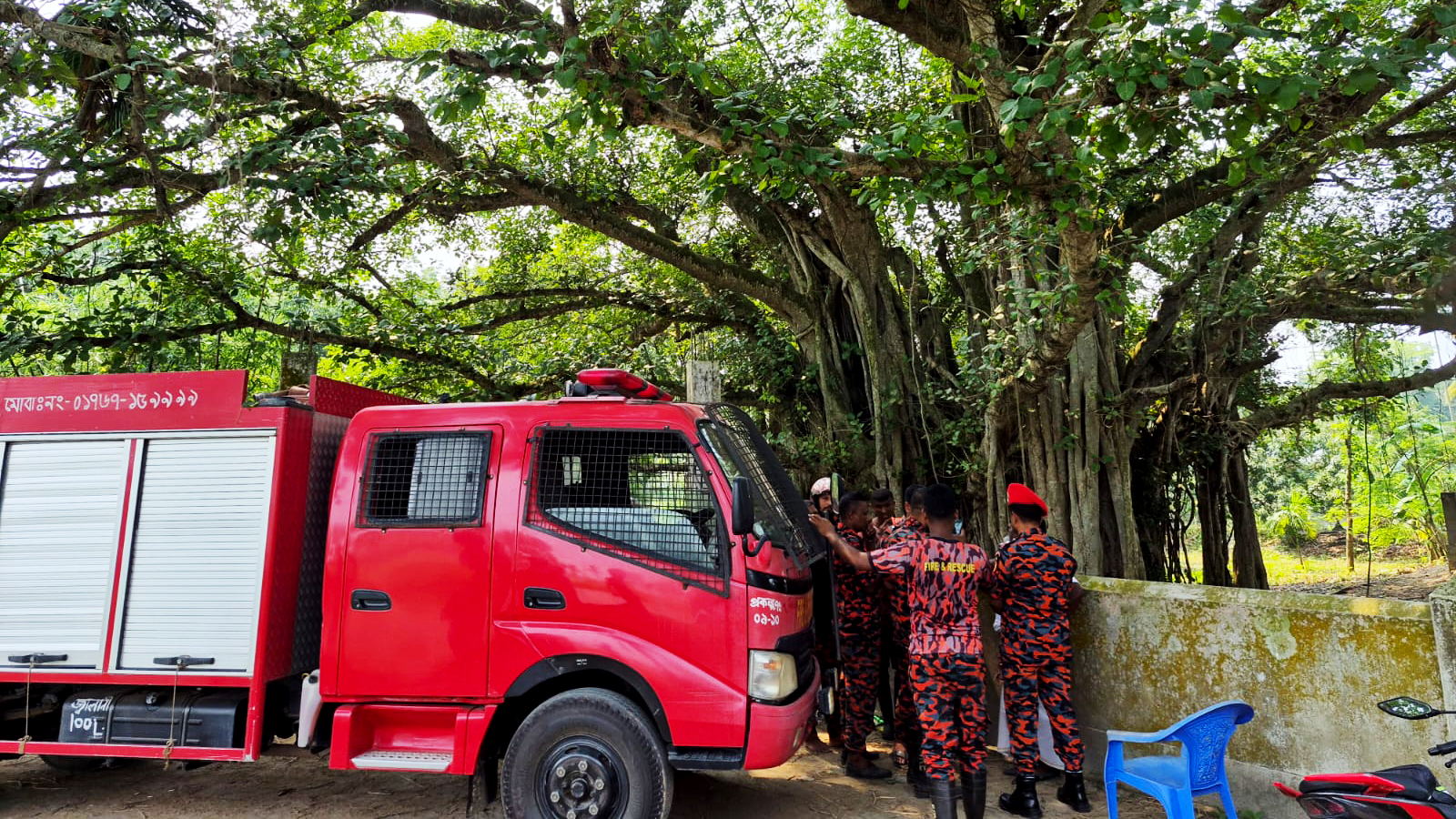 বটগাছের মগডালে ‘মাদকাসক্ত’, উদ্ধারে গলদঘর্ম ফায়ার সার্ভিস