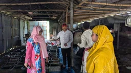 বাঘায় ২ দিনে ৪৫ মণ ভেজাল গুড় ধ্বংস, জরিমানা