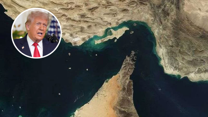 হরমুজ প্রণালি খোলা রাখতে যুদ্ধজাহাজ পাঠাবে অনেক দেশ— দাবি ট্রাম্পের, কী বলছে মিত্ররা