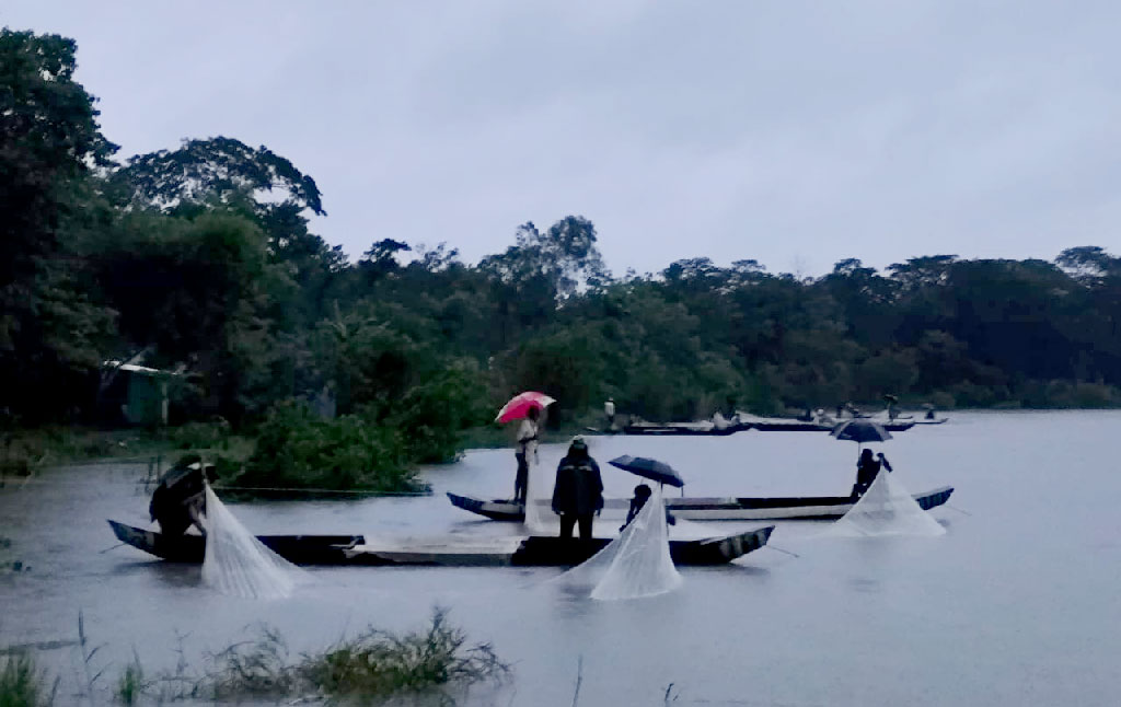 শুক্রবার ভোর থেকে হালদা নদীতে মাছের ডিম সংগ্রহ করছেন স্থানীয়রা। ছবি: আজকের পত্রিকা