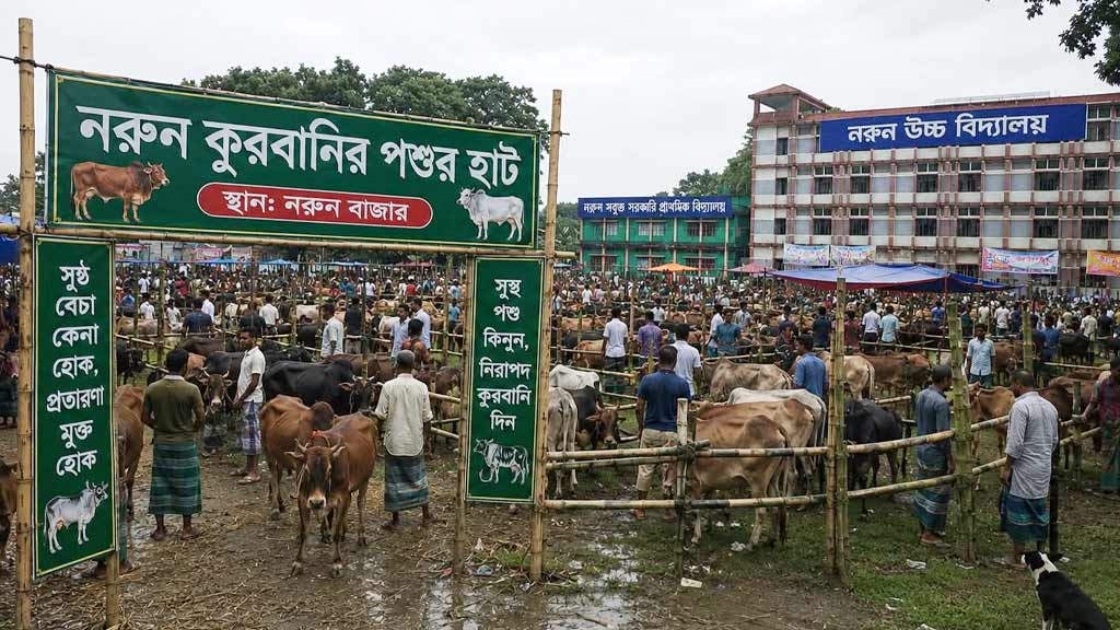 বিদ্যালয়ের মাঠে অস্থায়ী পশুর হাট, নীতিমালা লঙ্ঘনের অভিযোগ