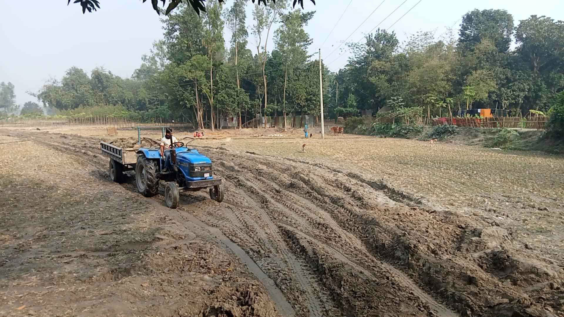 হবিগঞ্জে কৃষিজমির টপসয়েল কেটে অবাধে বিক্রি, পরিবেশ ও উৎপাদন হুমকিতে