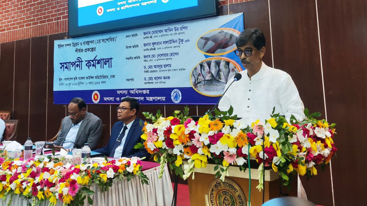 ইলিশের উৎপাদন ও আকার দুটোই কমছে, সাগরে নজরদারির তাগিদ