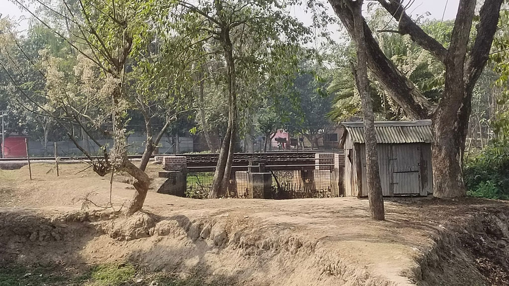 হিলি সীমান্তে রেলসেতু সংস্কারে বিএসএফের বাধা