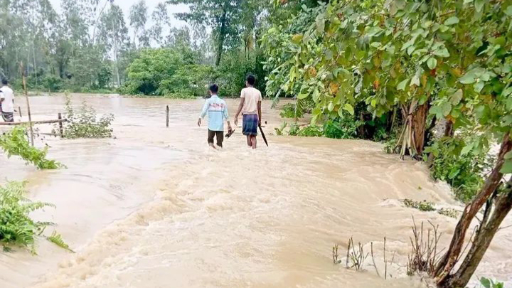 হালুয়াঘাটে টানা বৃষ্টি ও উজানের পাহাড়ি ঢলে ২০ গ্রাম প্লাবিত