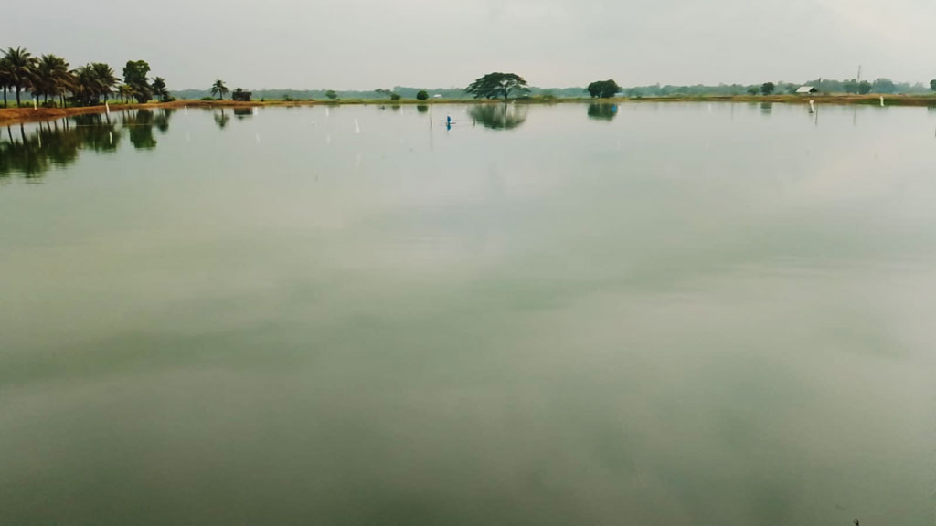 দুই মৎস্য প্রকল্পের ৯২ লাখ টাকা ভূমি কর বকেয়া, আদায় অনিশ্চিত