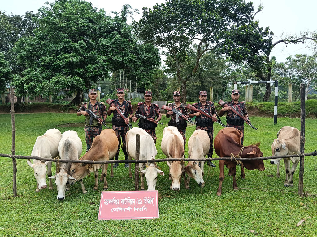 অভিযানে পালাল চোরাকারবারিরা, মিলল গরু