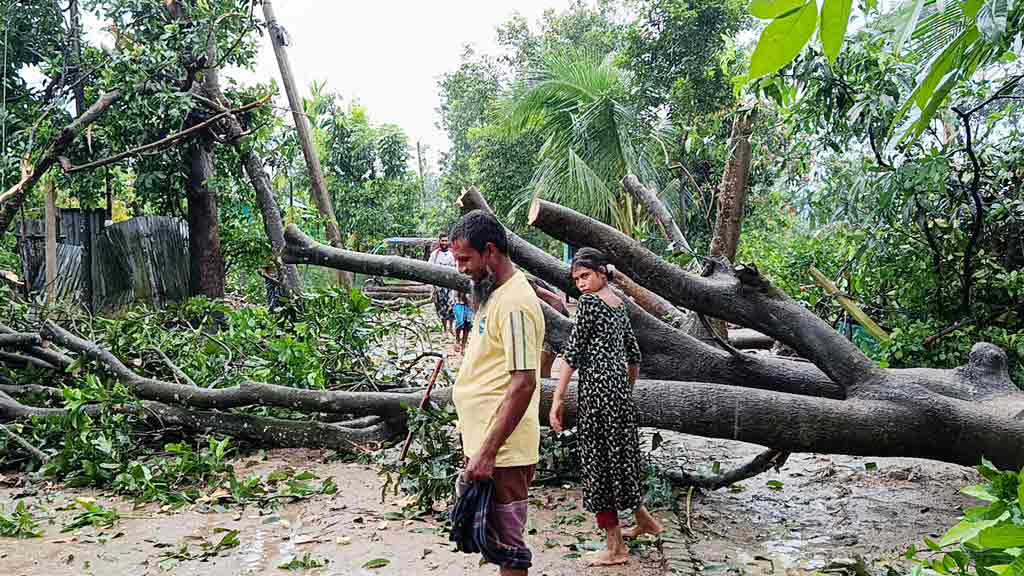 হালুয়াঘাটে এক মিনিটের ঝড়ে অর্ধশতাধিক ঘরবাড়ি ক্ষতিগ্রস্ত, উপড়ে পড়ল গাছ-বিদ্যুতের খুঁটি