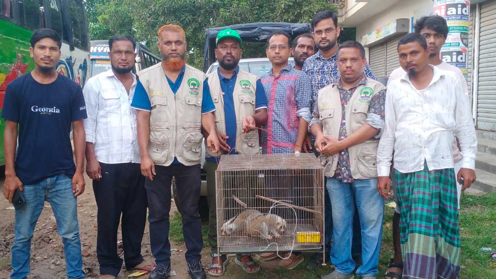 ‘পাচারকারীদের’ ফেলে যাওয়া ব্যাগে মিলল দুটি লজ্জাবতী বানর