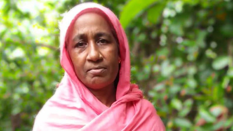 হোমনায় নিখোঁজের এক দিন পর ধানখেত থেকে বৃদ্ধার লাশ উদ্ধার