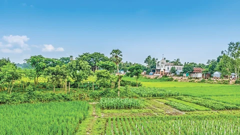 রূপসী মেঘনার ওপারে কবির গ্রাম
