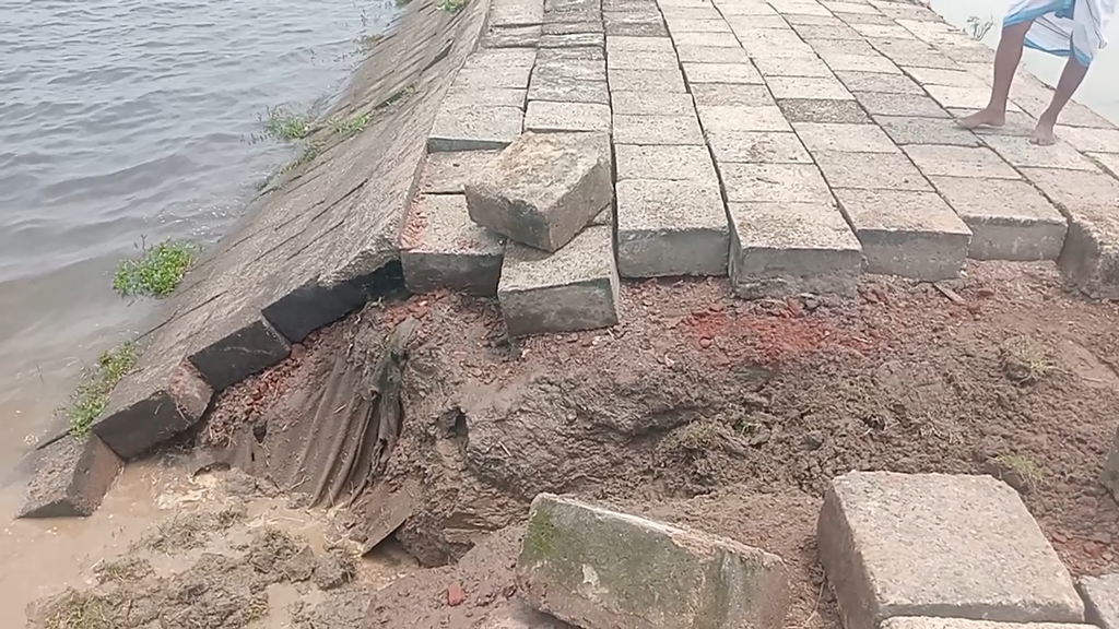 নেত্রকোনার হাওরে স্থানীয় ফসলরক্ষা বাঁধ কেটে ফেলেছে দুর্বৃত্তরা