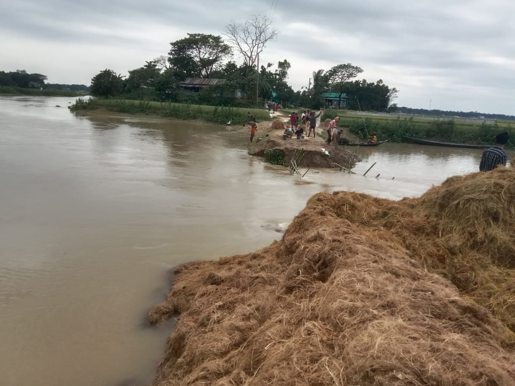 সুনামগঞ্জে বাঁধ ভেঙে তলিয়েছে ১১৪ হেক্টর বোরো ধানের জমি