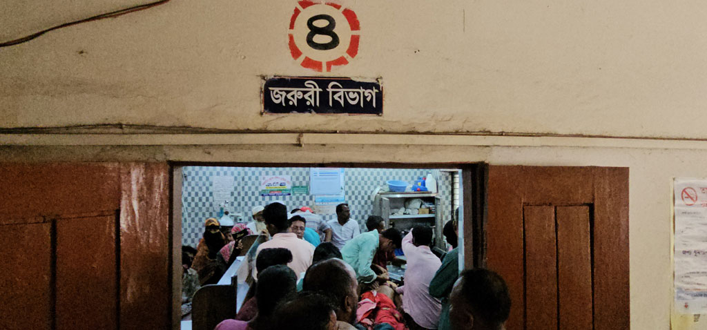 পাথরঘাটায় বেওয়ারিশ কুকুরের কামড়ে আহত অন্তত ২৫, ভ্যাকসিন সংকটে ভোগান্তি