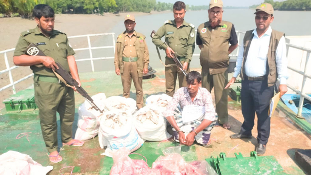 কয়রায় ৪৮ কেজি হরিণের মাংসসহ শিকারি আটক