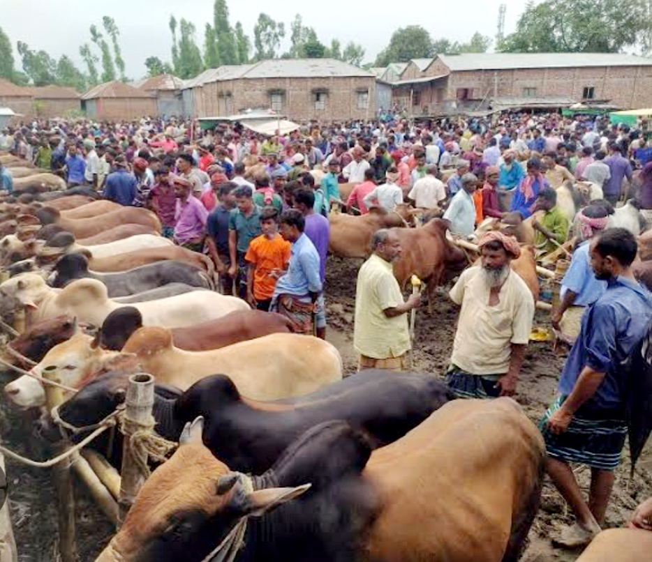 নৈহাটী হাটে ৪০ লাখ টাকা রাজস্ব আদায়, সরকারি কোষাগারে জমা মাত্র ১৫ লাখ