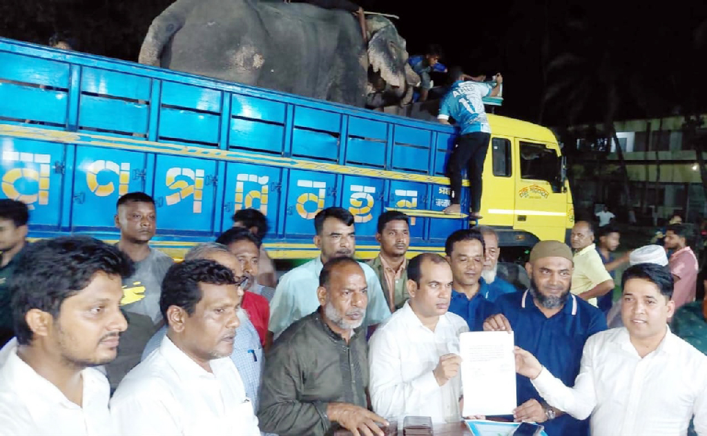 প্রধানমন্ত্রীর নির্দেশে বগুড়ার ‘বাদশা বাহাদুর’ গেল জাতীয় চিড়িয়াখানায়