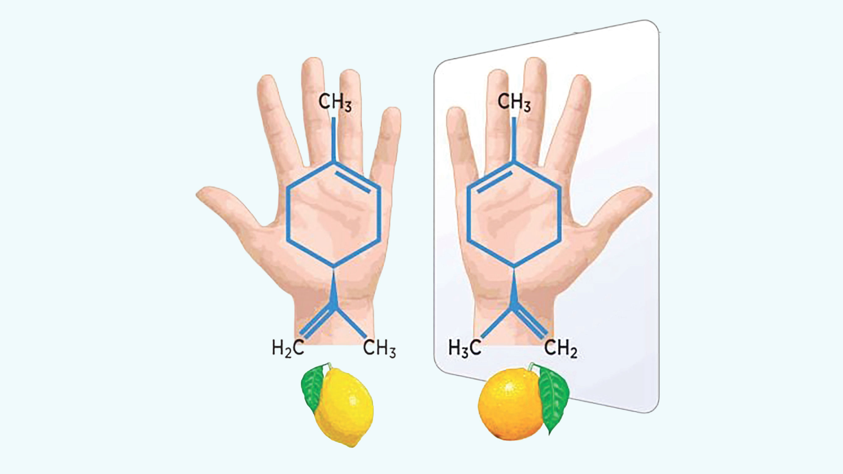 মিরর ব্যাকটেরিয়া কি আধুনিক পৃথিবীর নতুন মারণাস্ত্র