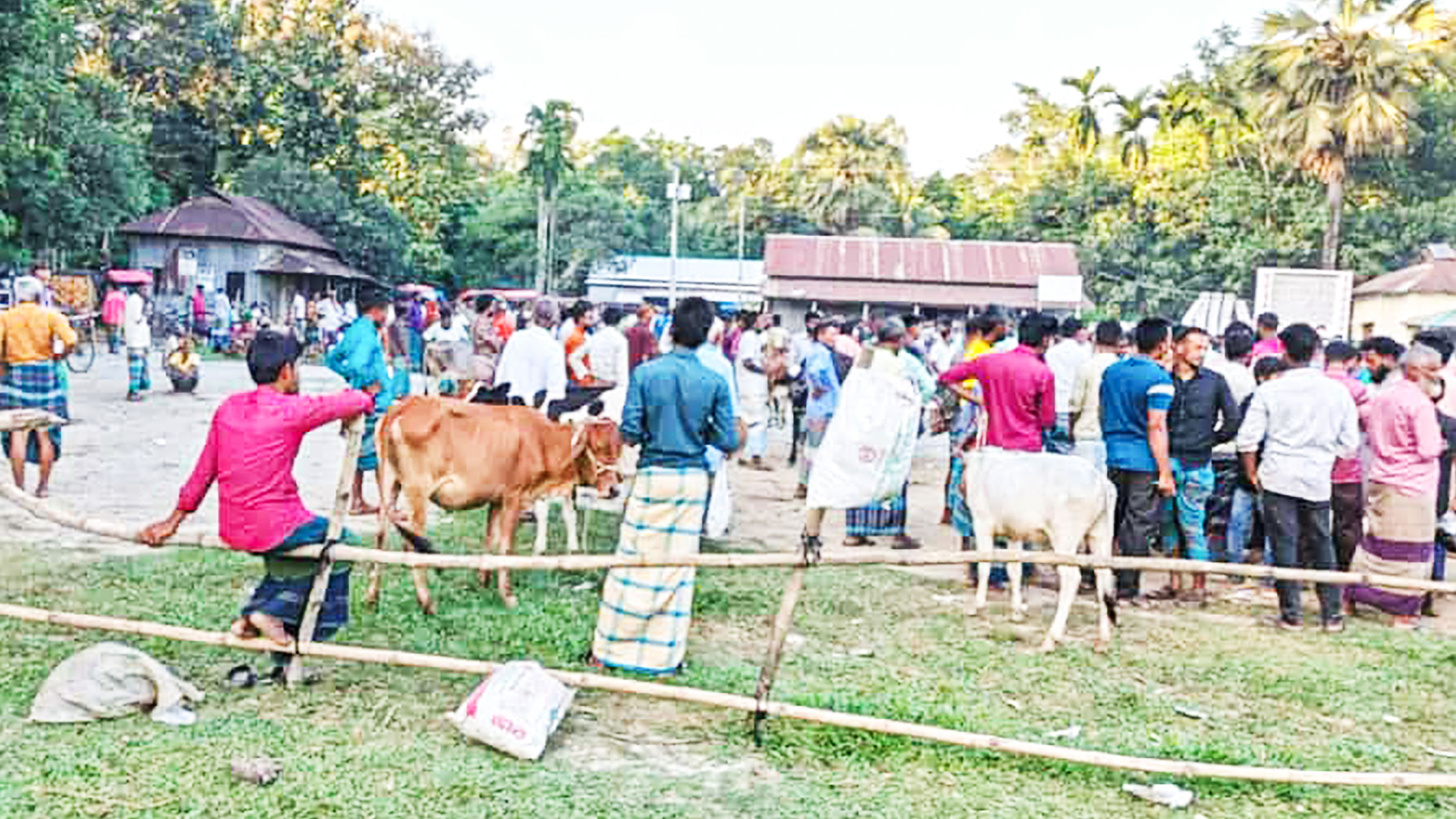 শেরপুরের নালিতাবাড়ী: গরু-ছাগলের হাটের দখলে শতবর্ষী মাঠ