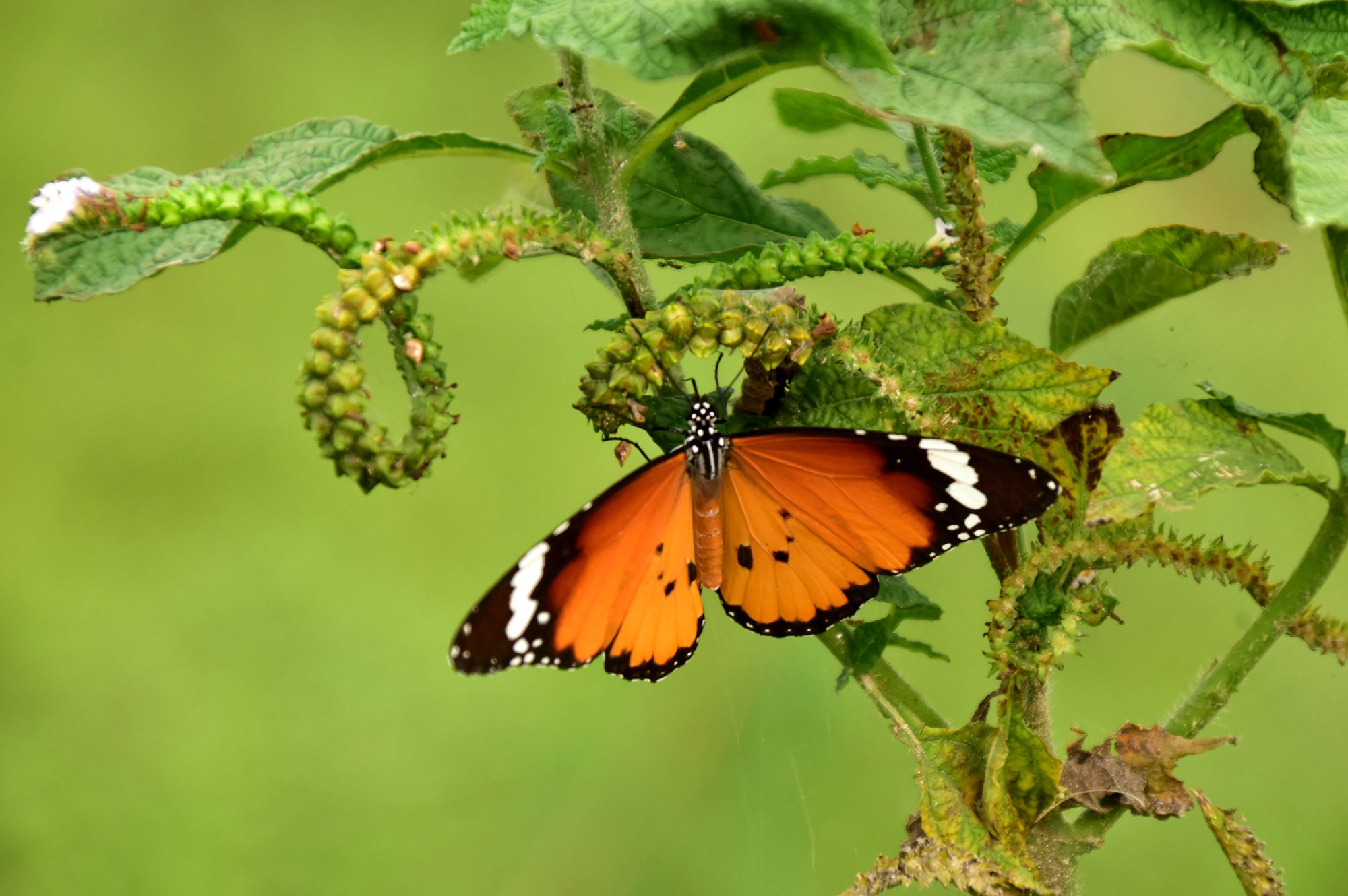 দিনের ছবি (২২ জুন, ২০২৫)
