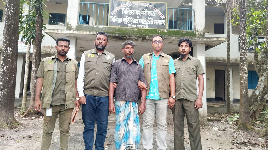 হাতিয়ায় সংরক্ষিত বনের গাছ কাটার অভিযোগে গ্রেপ্তার ১
