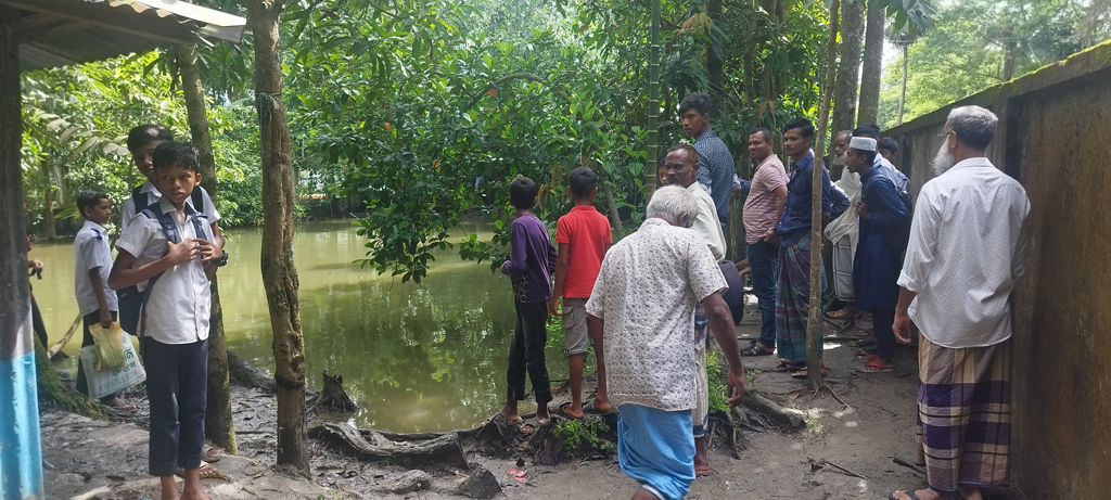 হাতিয়া পৌরসভার ৬ নম্বর ওয়ার্ডের মজির উদ্দিন মিয়ার বাড়ির পুকুরে কুমিরসদৃশ প্রাণীটি দেখতে এলাকাবাসী ভিড় জমায়। ছবি: আজকের পত্রিকা