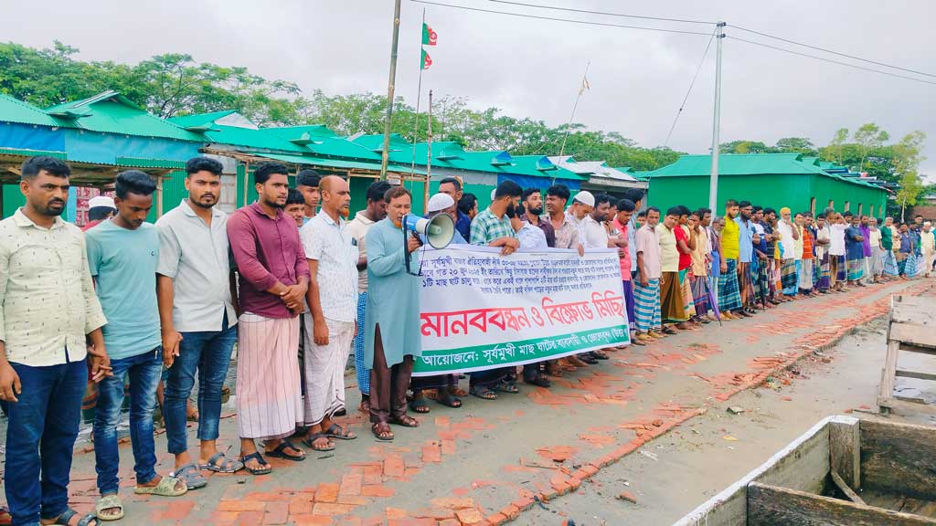 হাতিয়ায় পুরোনো মাছঘাটের পাশে নতুন ঘাট তৈরির প্রতিবাদে মানববন্ধন