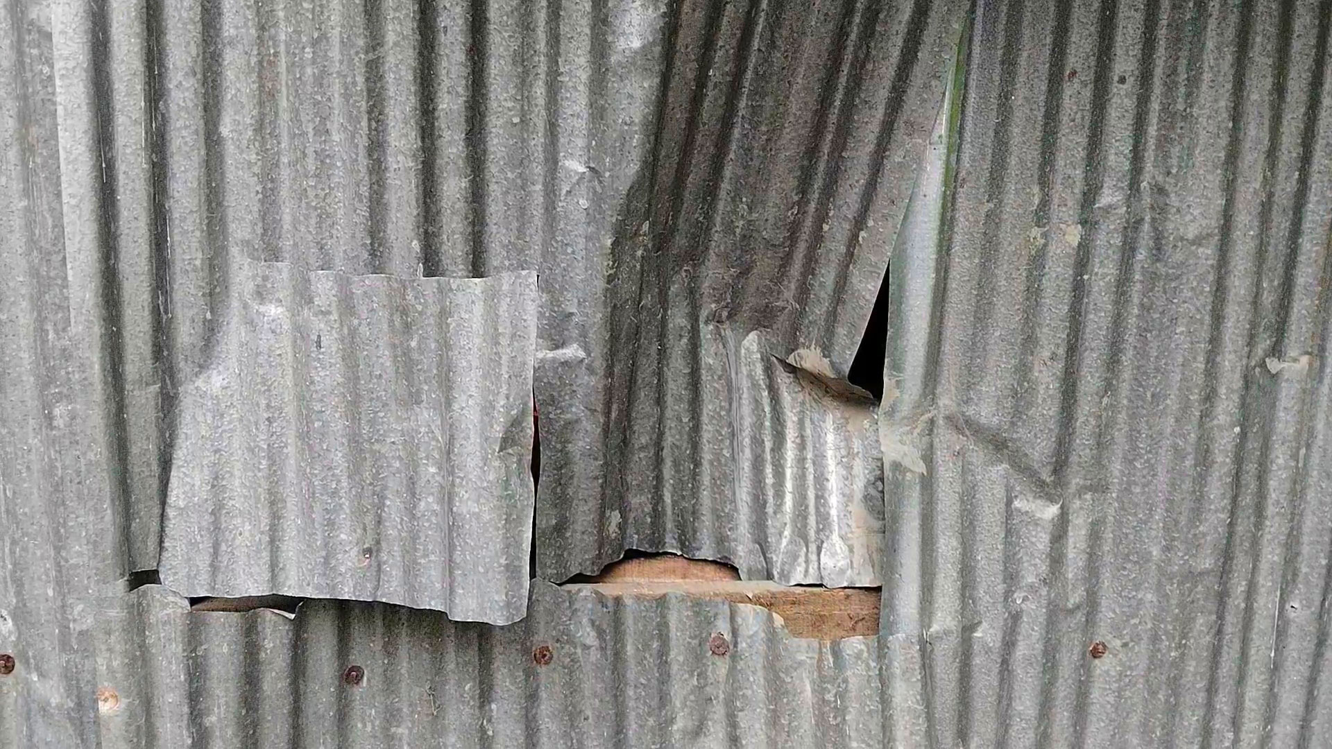 বিএনপি নেতার ছেলের হামলার ঘটনায় মামলা, আশ্রয়দাতাও আসামি