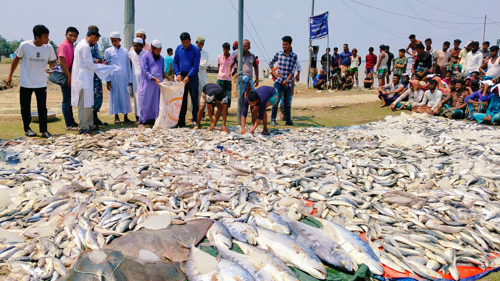 হাতিয়ায় নিষেধাজ্ঞা অমান্য করায় ৩০ জেলে আটক, মাছ ও ট্রলার জব্দ