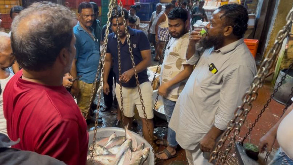 পদ্মার রুপালি ইলিশ সীমান্ত পেরিয়ে সোনালি আশীর্বাদ