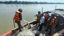 ইলিশ রক্ষায় ২২ দিনের অভিযানে ৬১ কোটি টাকার জাল-সরঞ্জাম জব্দ