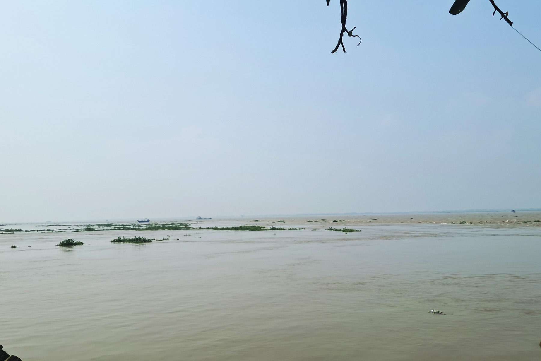 চাঁদপুরে মা ইলিশ রক্ষায় ২২ দিনের নিষেধাজ্ঞা, ফাঁকা নদী ও মাছঘাট