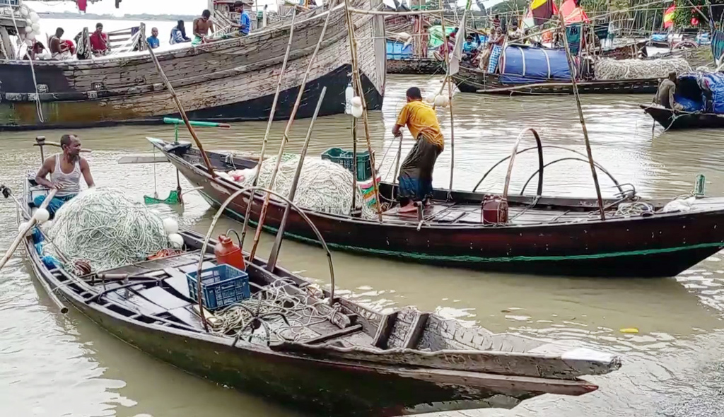 মৌসুমের শেষ সময়ে জেলেদের জালে ধরা পড়ছে ইলিশ, কমেছে দাম