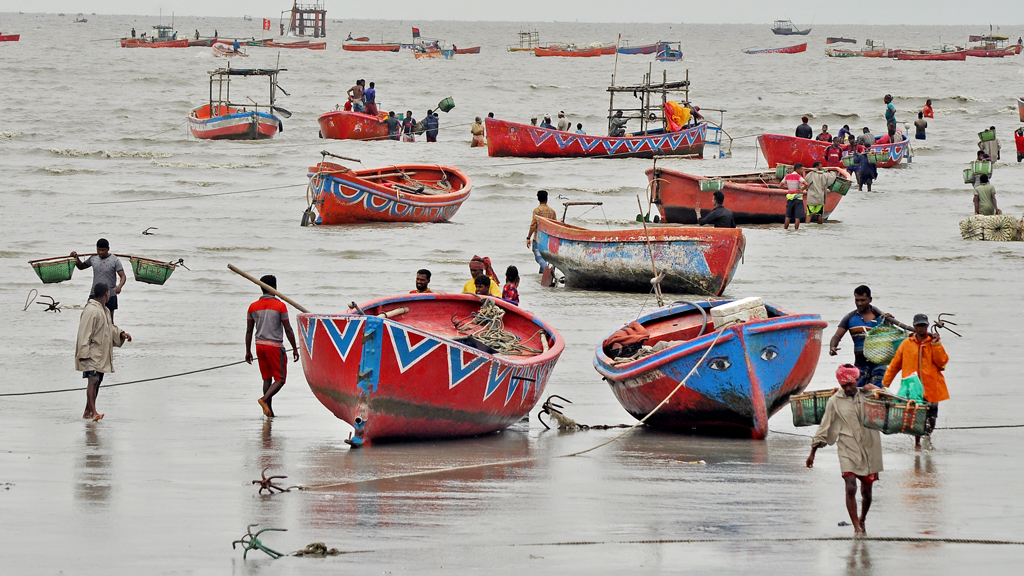 ইলিশ ধরার মৌসুমে জেলেদের ব্যস্ত সময় কাটছে। ভাটার সময় ইলিশ মাছ শিকার করে তীরে ফিরছেন স্থানীয় জেলেরা। সাগরপাড়ে সারা দিন চলছে ইলিশ বেচাকেনা। ছবিটি চট্টগ্রামের কাট্টলী রাসমনি ঘাট এলাকা থেকে তোলা। ছবি: হেলাল সিকদার।