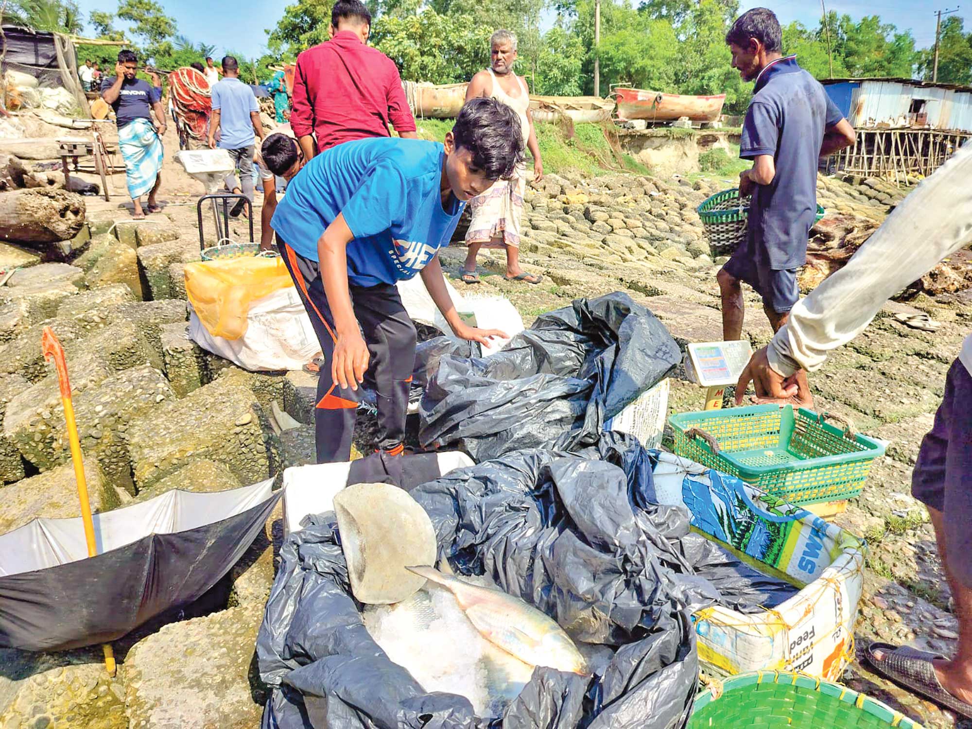 ইলিশের ভরা মৌসুম চললেও কাঙ্ক্ষিত পরিমাণে ধরা পড়ছে না। সরবরাহ কমের কারণে বাজারে দাম বাড়ায় স্বল্প আয়ের মানুষের কাছে ইলিশ হয়ে উঠেছে সোনার হরিণ। চট্টগ্রামের সীতাকুণ্ডের সন্দ্বীপ চ্যানেল থেকে জেলেদের খালি হাতে ফেরার ছবিটি গতকাল তোলা। ছবি: আজকের পত্রিকা